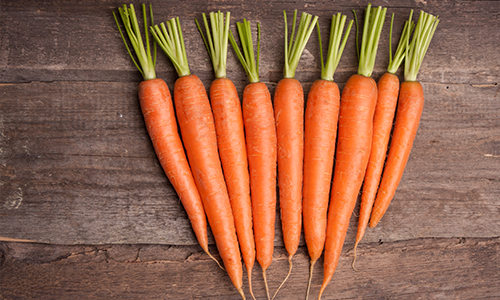 10 Penis-Friendly Foods to Boost T-Levels, Sperm Count, and More 6