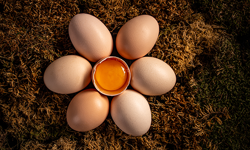 10 Penis-Friendly Foods to Boost T-Levels, Sperm Count, and More 10